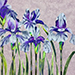 Momoe Fukumoto Gallery